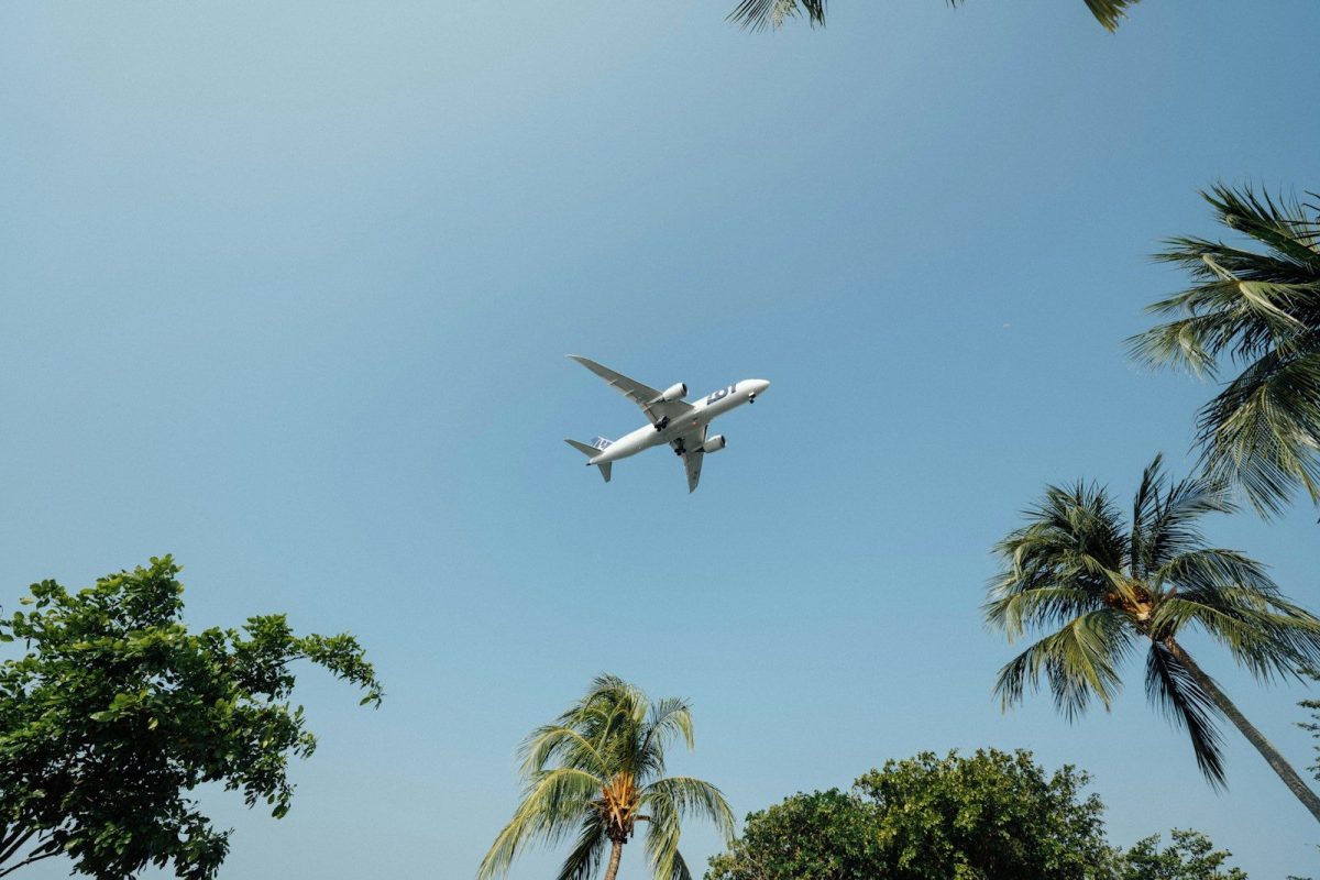 low angle photo of airplane