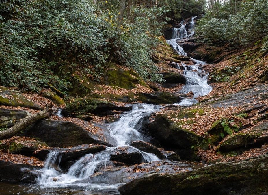 a small waterfall in a forest