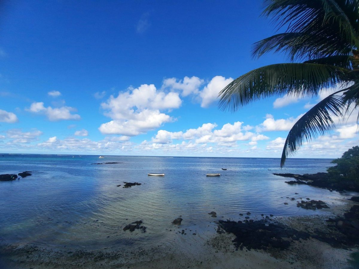 9 Dream Destinations for Ocean Life Enthusiasts 4 a view of a beach with boats in the water