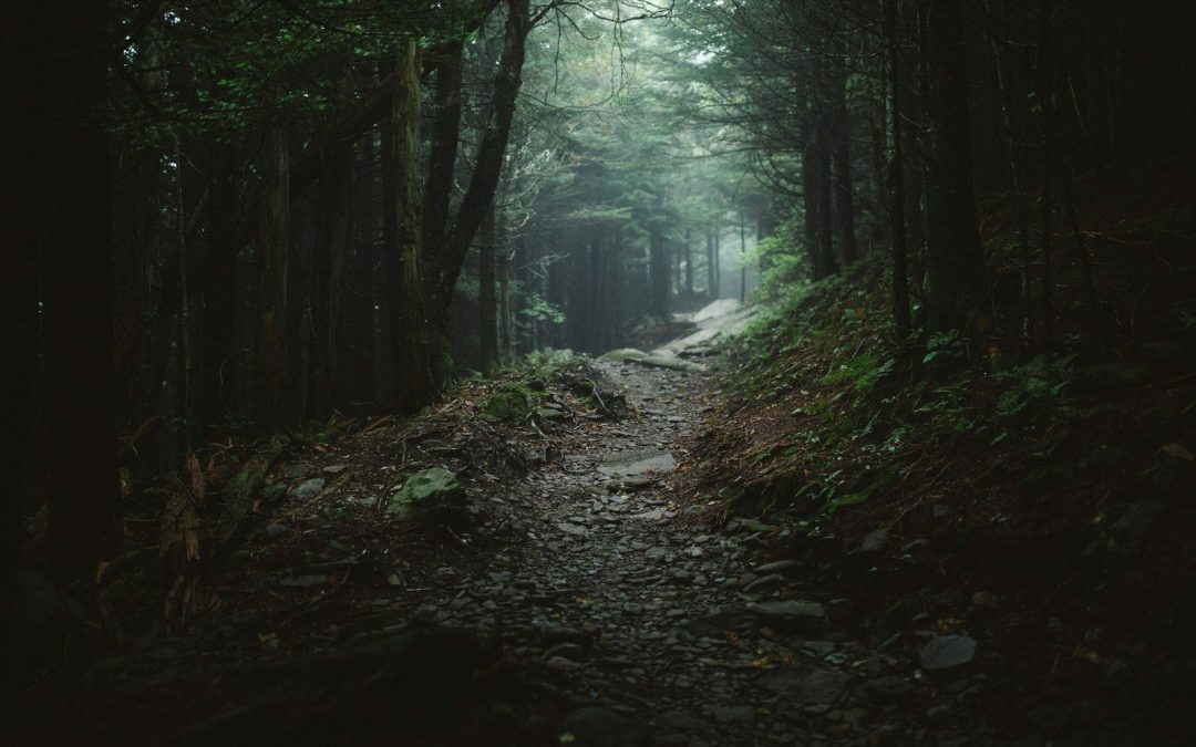 9 American Hiking Trails Known for Serious Risks