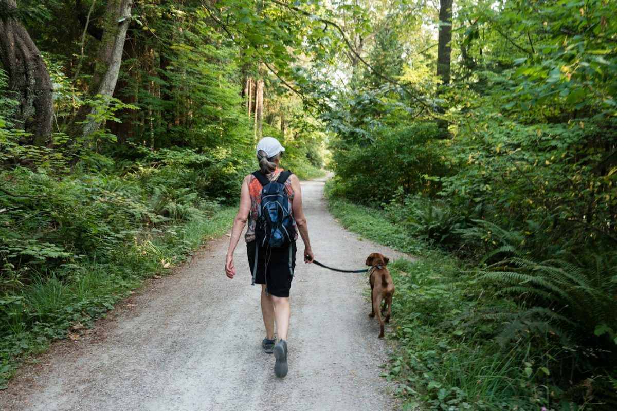 2 women walking on road with brown dog during daytime