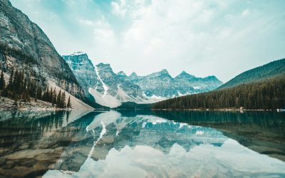 8 Canadian Wildlife Trips That Are Blowing Up on TikTok Right Now