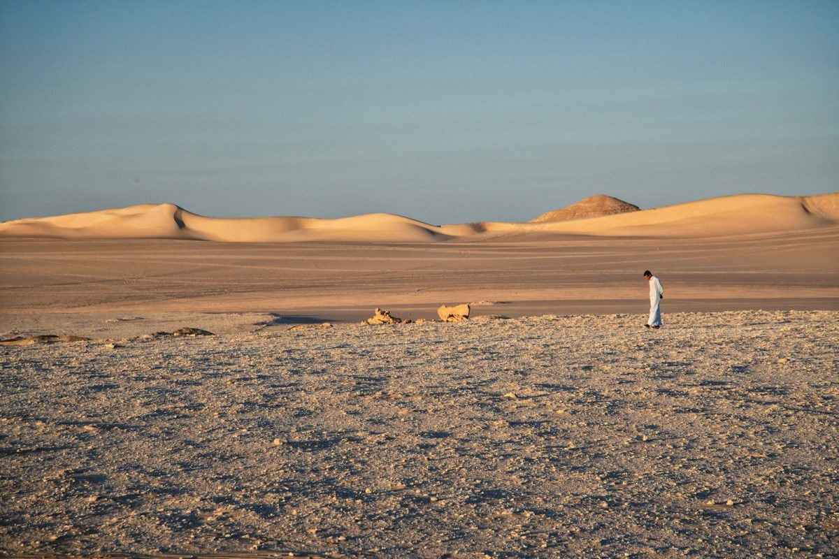 A lone figure stands in a vast desert landscape.