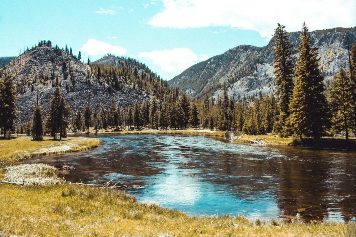 9 Ways a Yellowstone Eruption Could Change Travel in the U.S. 3 forest and body of water during day