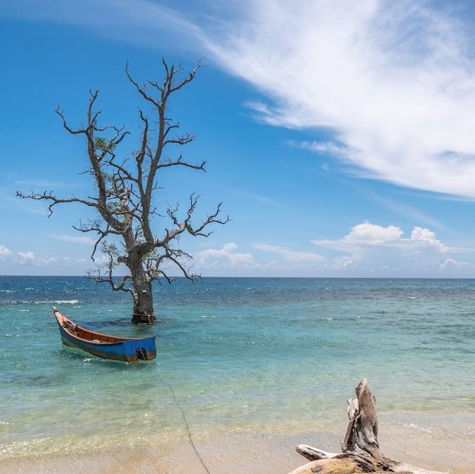 brown wooden boat on beach during daytime
