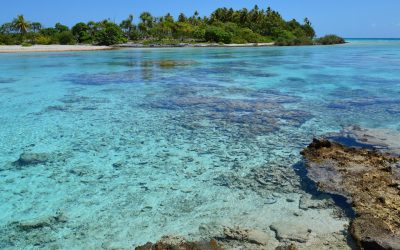 Home 1 8 Remote Islands Where You Can See Sharks in the Wild