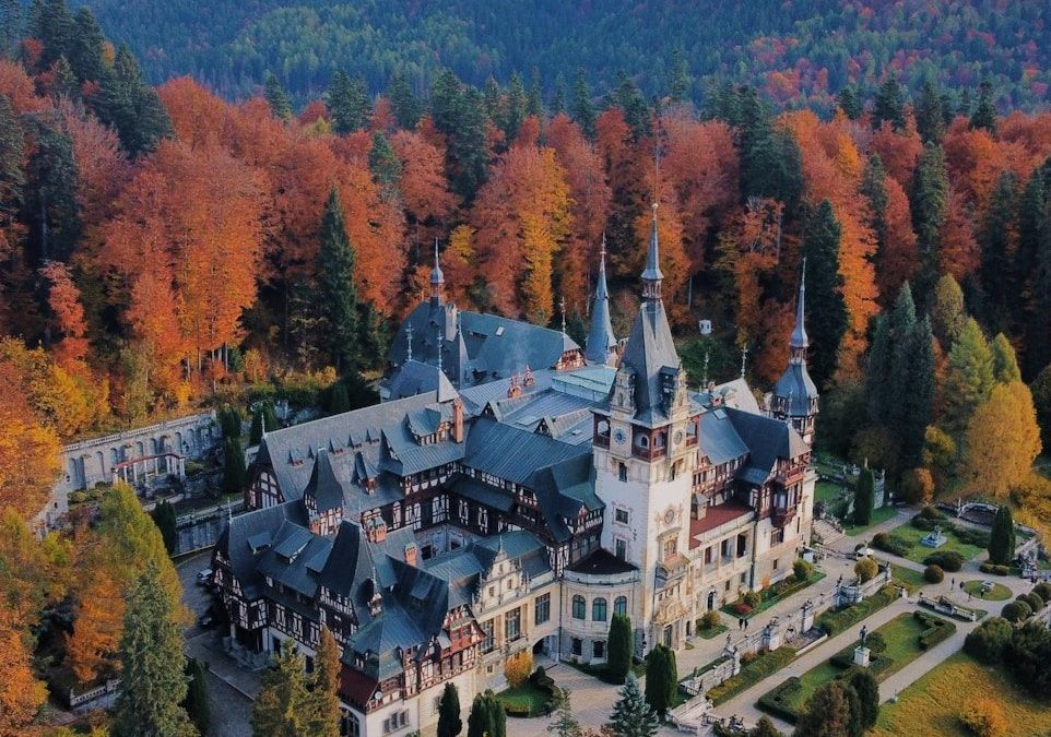 an aerial view of a castle surrounded by trees