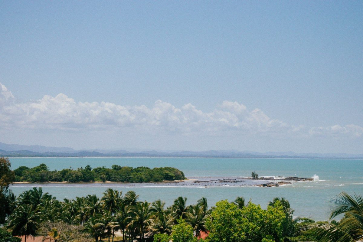 a body of water surrounded by palm trees