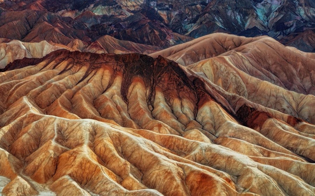 The desert park where the ground cracks into perfect hexagons and silence feels absolute