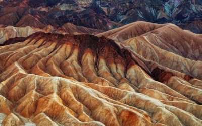 The desert park where the ground cracks into perfect hexagons and silence feels absolute