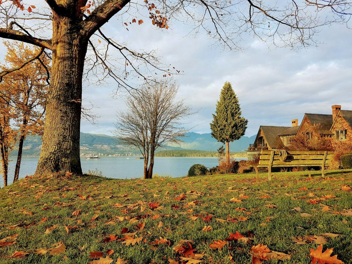 brown wooden house near body of water during daytime