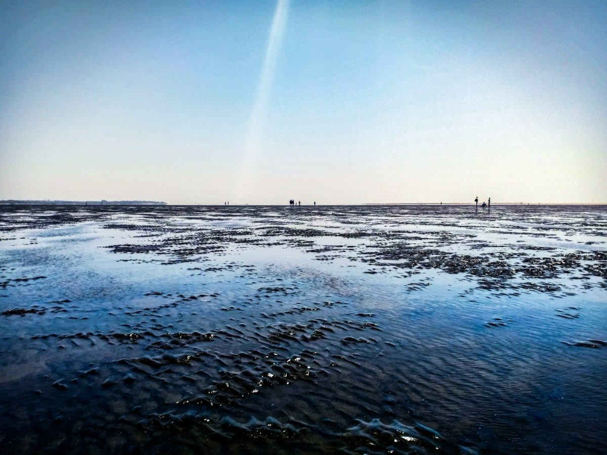 body of water under clear blue sky