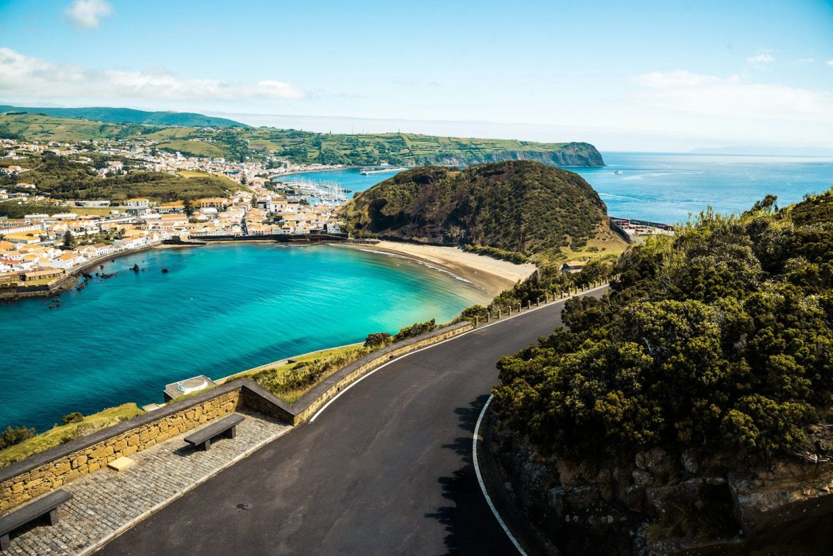 9 Dream Destinations for Ocean Life Enthusiasts 8 empty road beside green trees and blue body of water during daytime