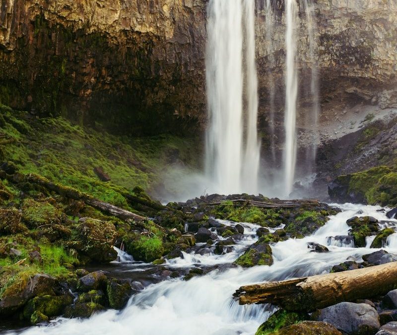 A waterfall with a fallen tree in the foreground