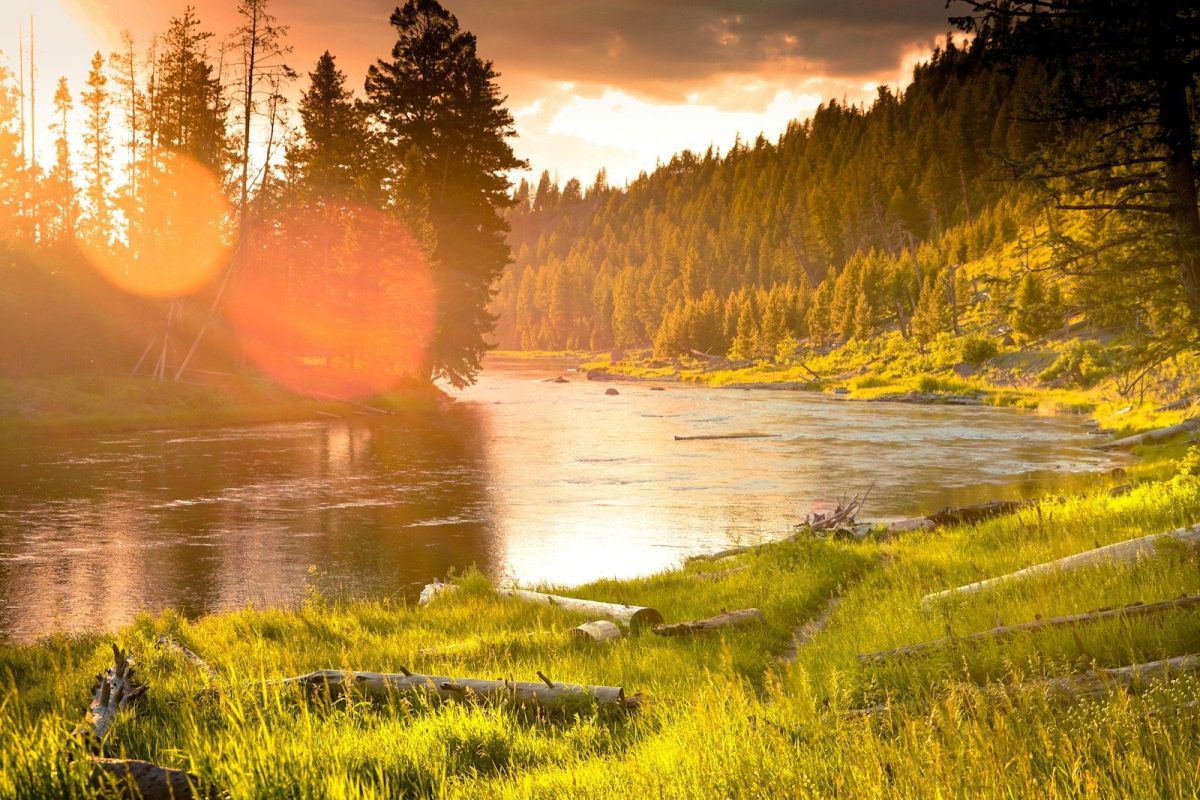 9 Ways a Yellowstone Eruption Could Change Travel in the U.S. 4 the sun is setting over a river in the woods