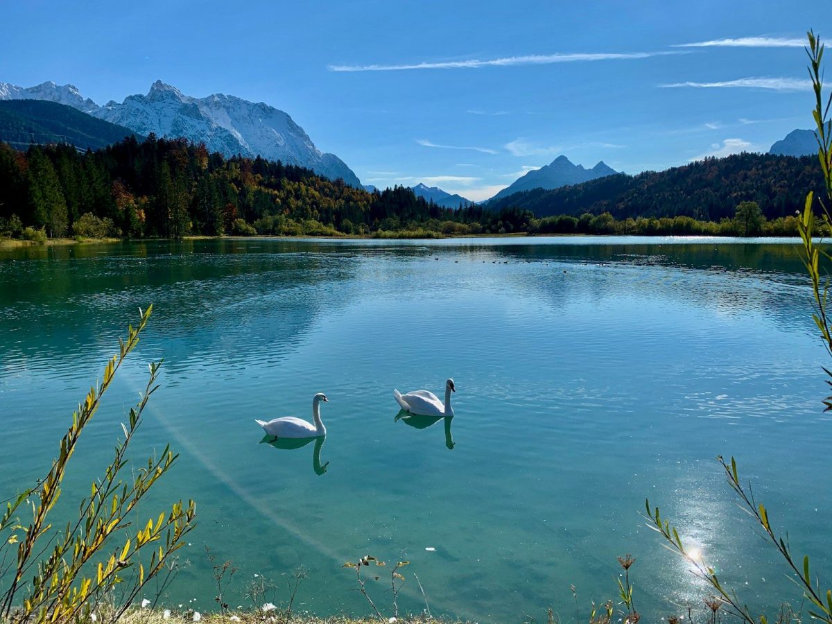 8 Must-Visit Lake Destinations in the U.S. for Summer Travelers 8 white swan on water during daytime