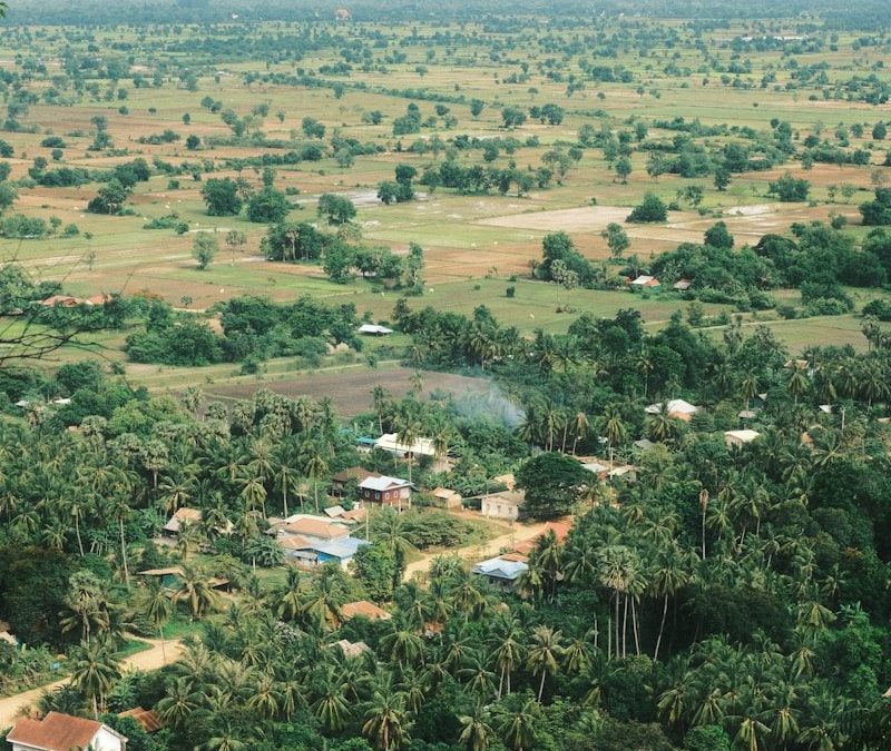 a view of a small village in the middle of a jungle