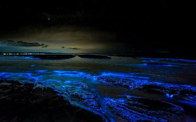 7 Incredible Things Travelers Stumbled Upon in Nature