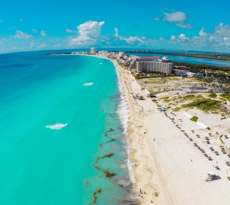 people on beach during daytime
