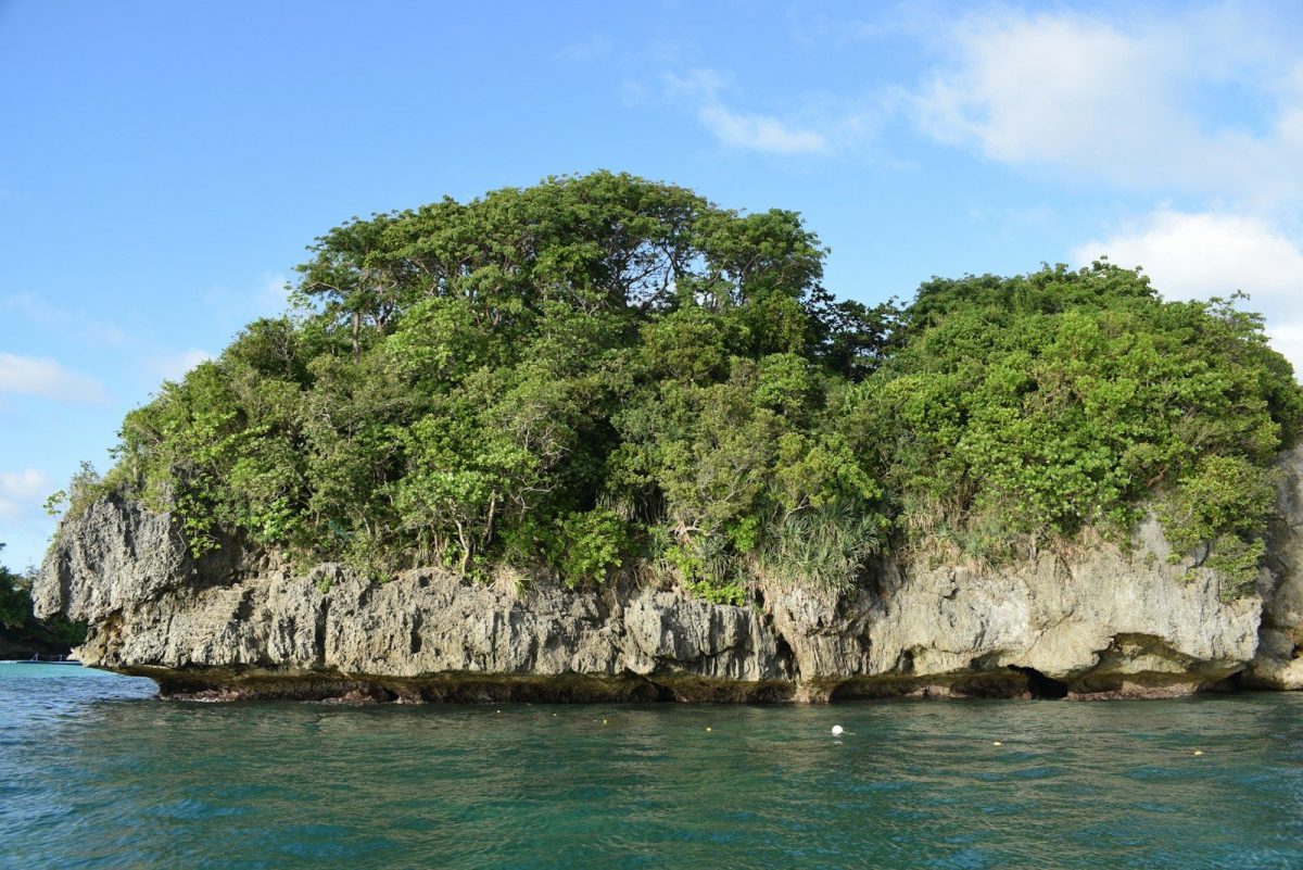 A small island in the middle of a body of water