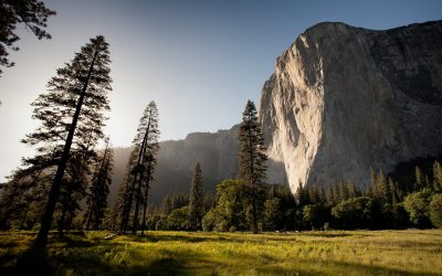 8 Beloved American Parks That No Longer Exist