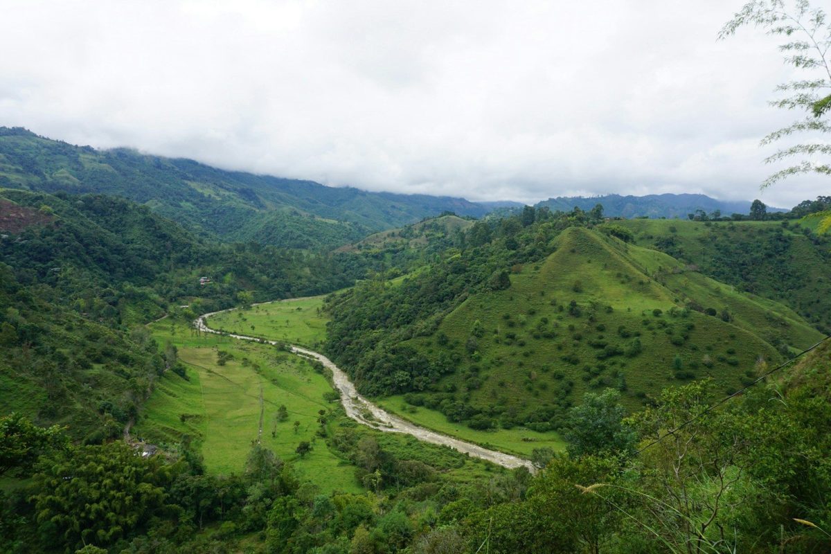 a lush green valley with a river running through it