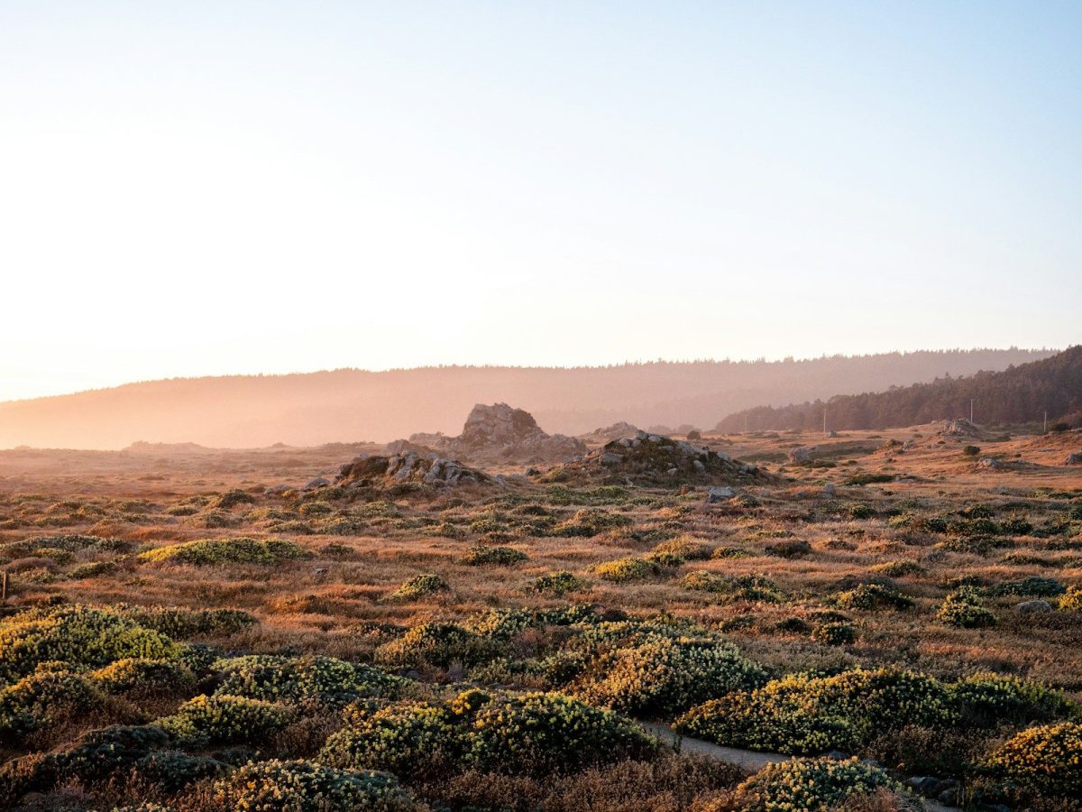 8 Ways to Stay Warm and Comfortable While Traveling in the Wilderness 9 green grass field near brown mountain during daytime