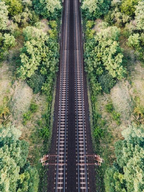 10 Amazing Long Train Trips Around the World for Travelers 5 train railway near trees during daytime