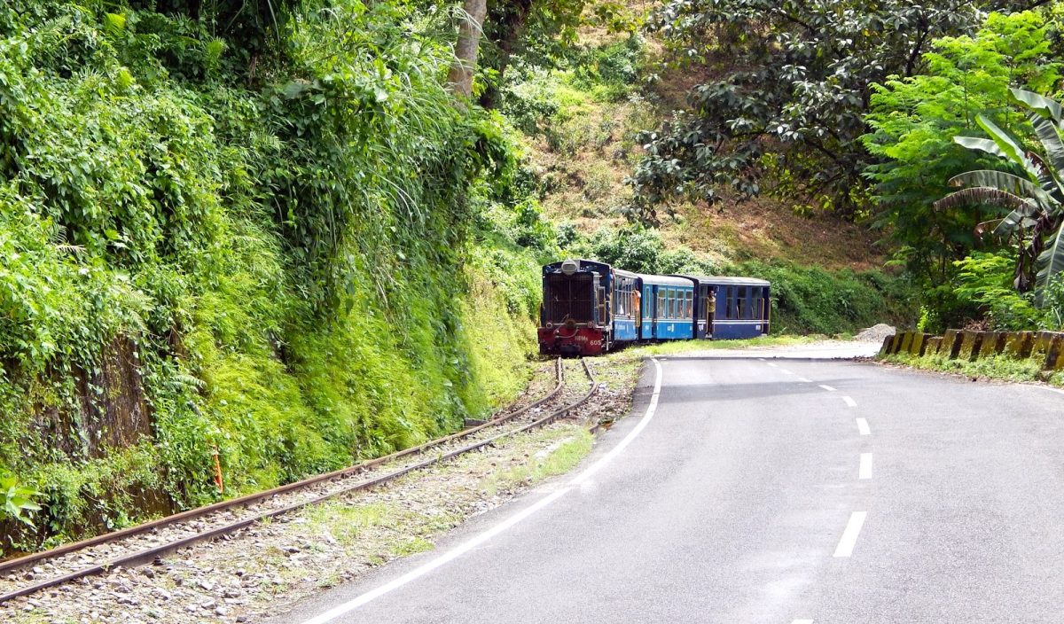 blue and black train on rail road between green trees during daytime