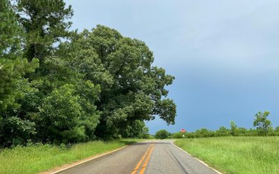 Scenic back roads that beat America’s busy highways