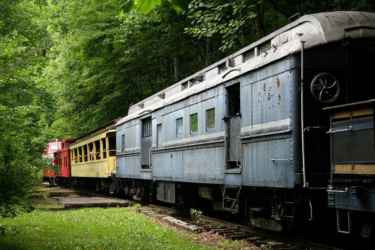 grey, yellow, and red train on forest during daytime