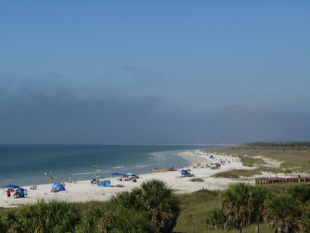 a group of people standing on top of a sandy beach
