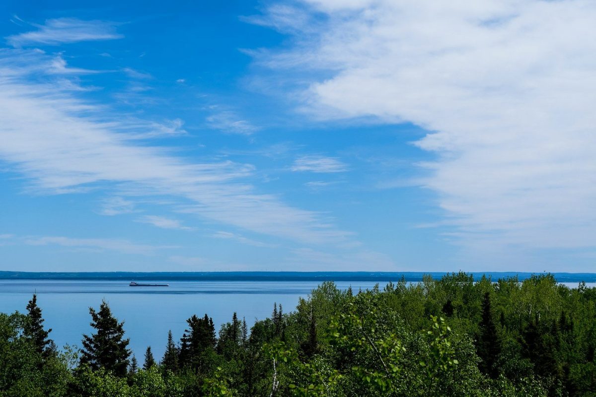8 Canadian Wildlife Trips That Are Blowing Up on TikTok Right Now 2 a view of a body of water surrounded by trees
