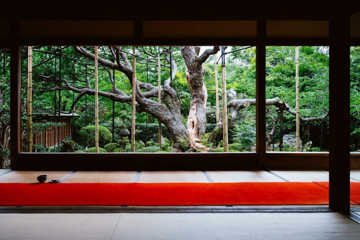 A japanese garden seen through a sliding door.