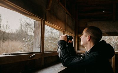 Home 15 9 U.S. Bird-Watching Hotspots Nature Lovers Should Know About