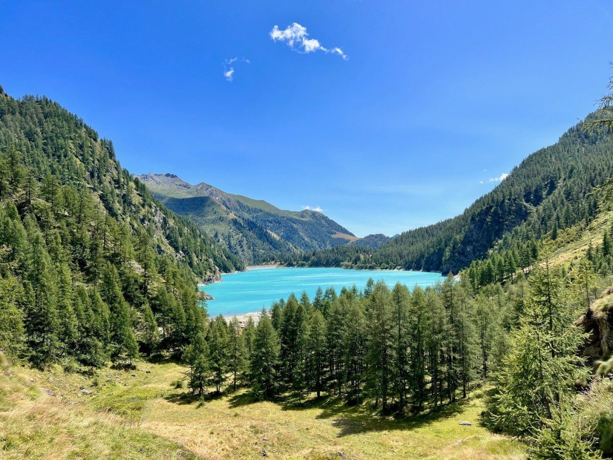 8 Must-Visit Lake Destinations in the U.S. for Summer Travelers 9 a view of a lake surrounded by trees
