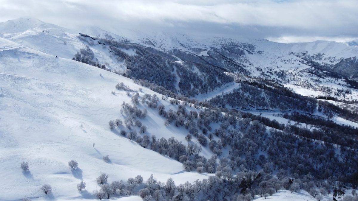 Snow-covered mountains with pine trees under a cloudy sky.