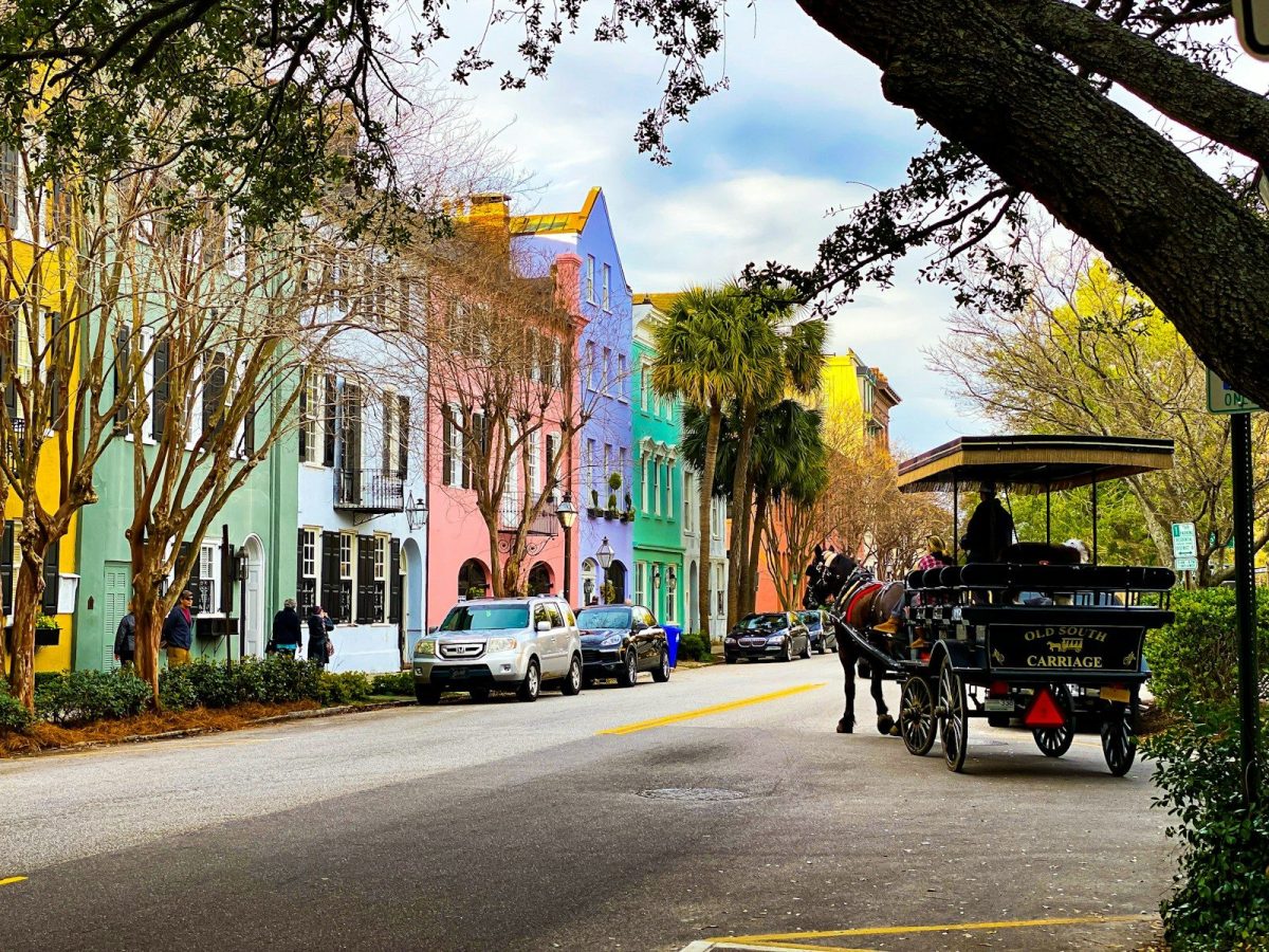 people riding on carriage on road during daytime