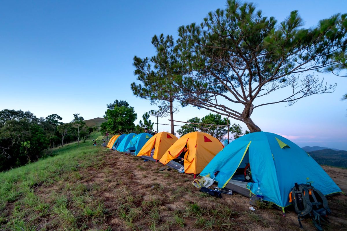 5 Campground First-Night Checks Travelers Usually Wish They Did Before Dark 1 Blue and yellow camping tents located on ground near evergreen trees in mountainous terrain against cloudless sunset sky
