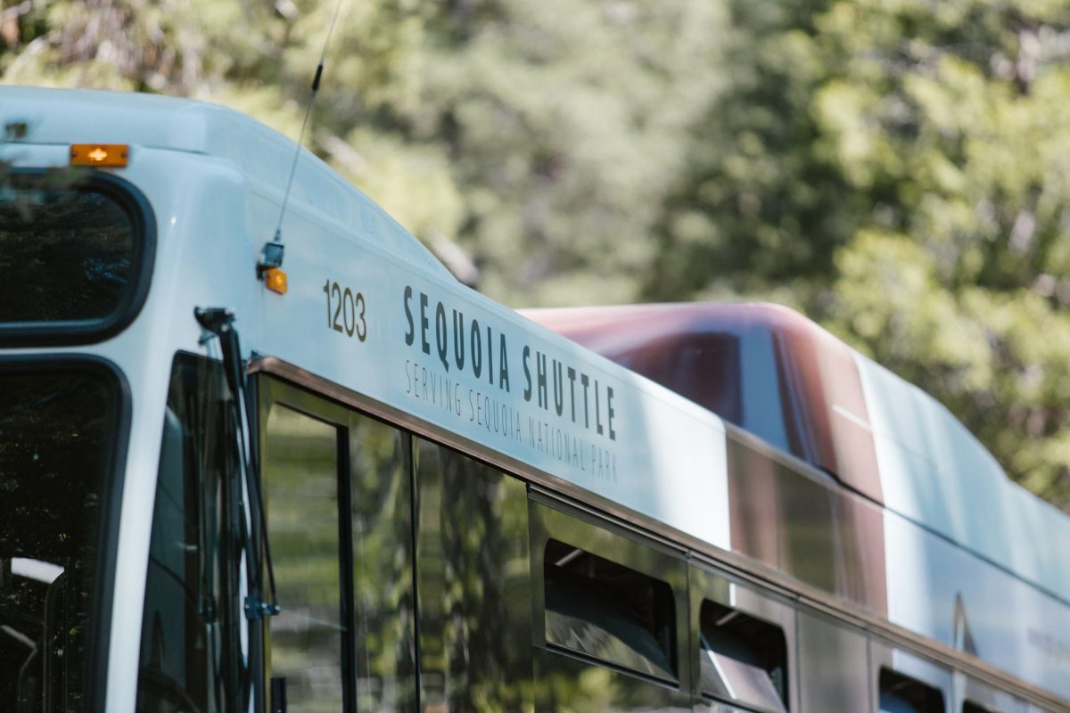 5 National Park Shuttle Snags That Can Burn Half Your Day Trip 3 Shuttle bus serving Sequoia National Park on a sunny day, showcasing public transportation in natural surroundings.
