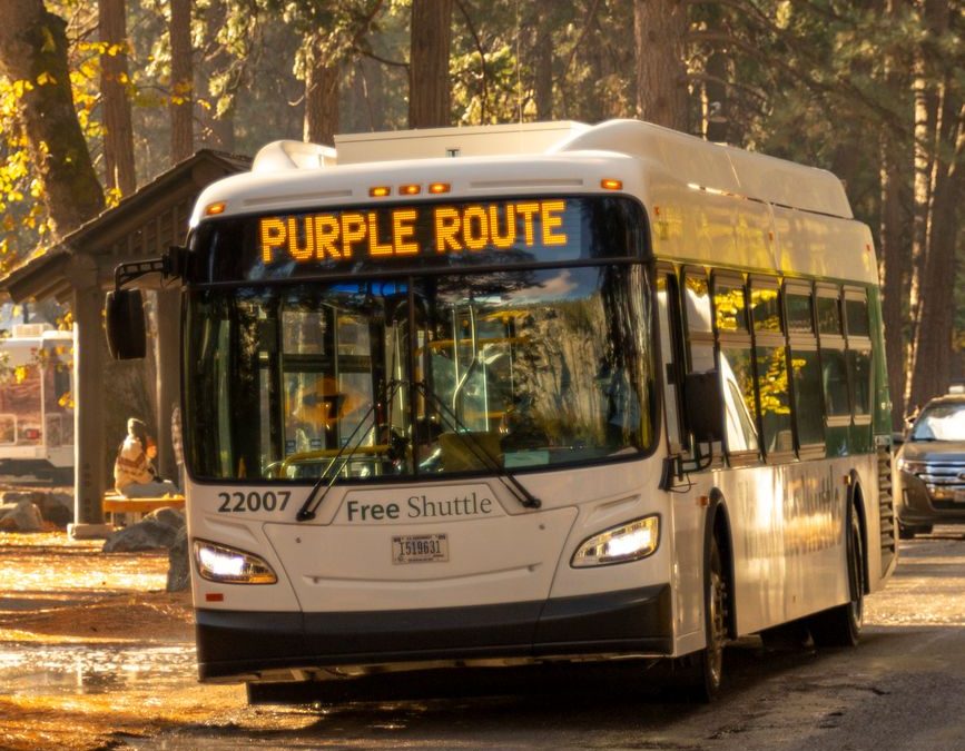 Shuttle bus on a forest road in autumn, highlighting the purple route service.