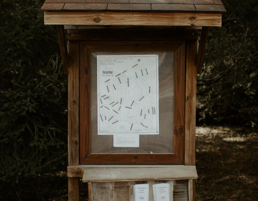 Wooden information board in a forest, ideal for park signage context.