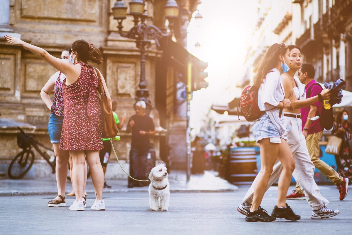 people, street, city, walking, urban, crowd, pet, road, busy, lifestyle, friends, dog, doggy, canine, summer, cute, nature, together, group, animal, fun, friendship, tourists, disney