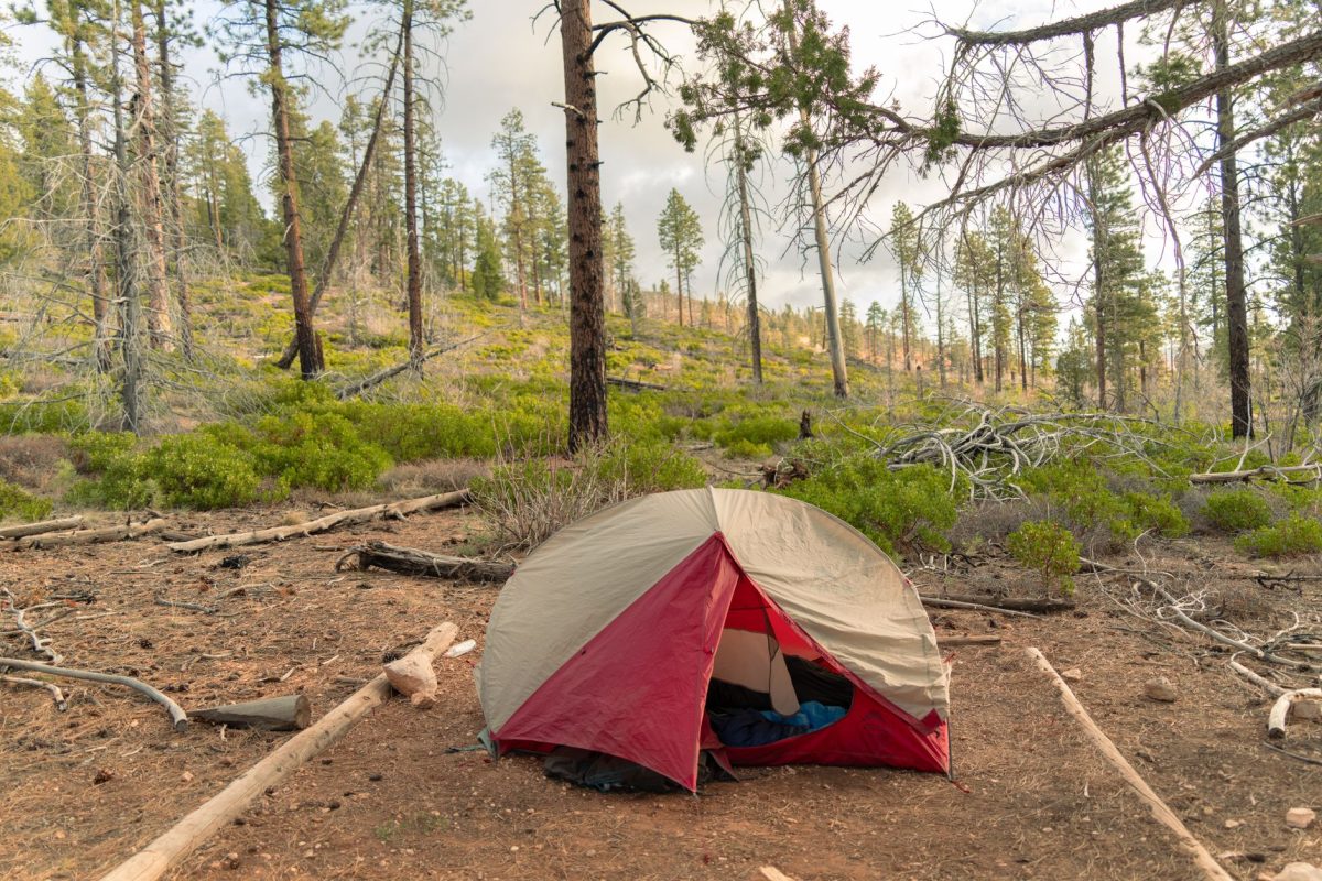 Explore serene camping amidst the stunning landscapes of Bryce Canyon, Utah.