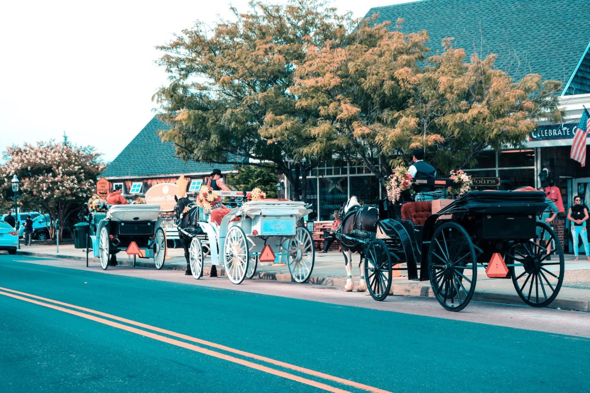Horse drawn carriages lined up downtown Cape May, NJ, showcasing quaint street life.
