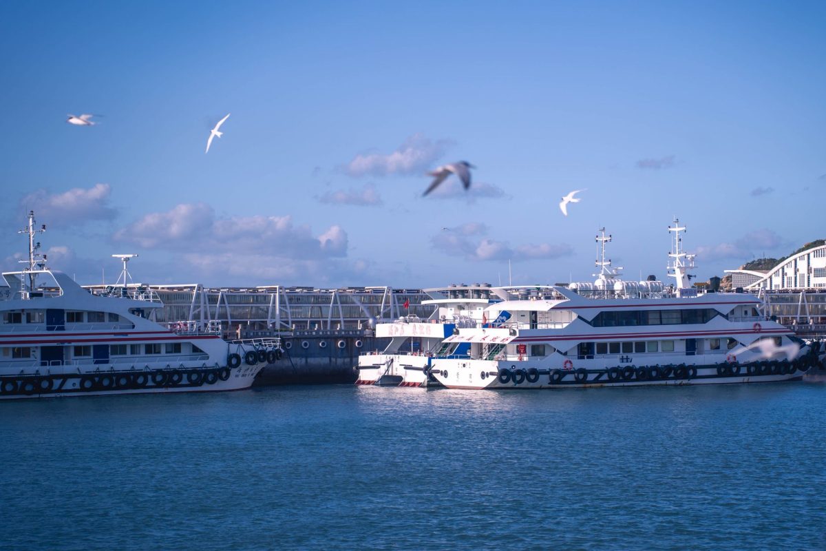 Tranquil harbor scene with ferries docked under a blue sky, surrounded by seagulls.