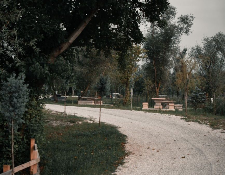 A serene curved pathway flanked by lush green trees in a tranquil park setting.
