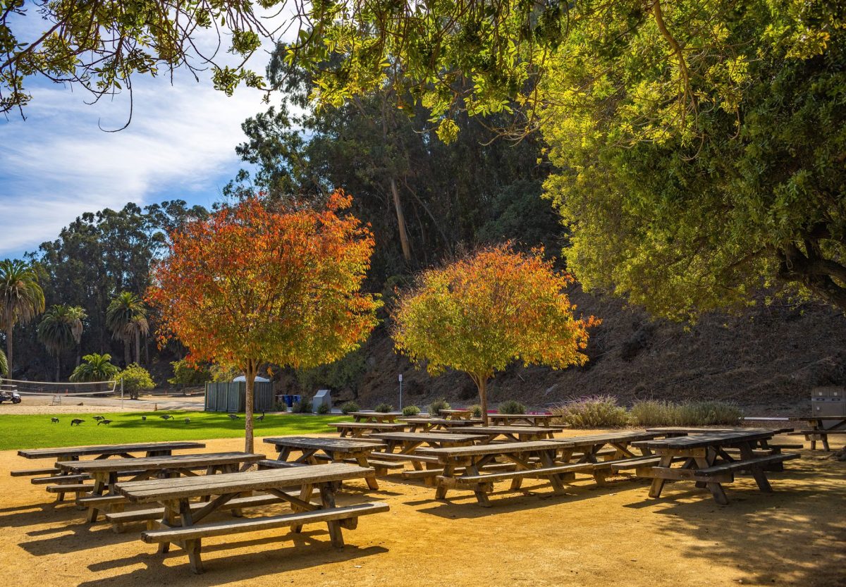 Beautiful autumn park scene with colorful trees and picnic tables under daylight.