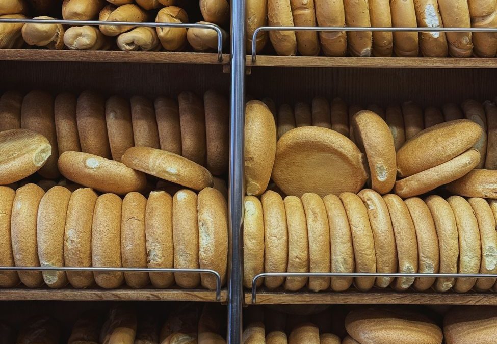 Assorted fresh breads neatly displayed in bakery shelves, ready to enjoy.