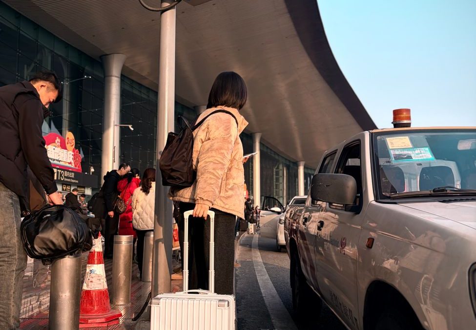 Adult at airport curbside with suitcase, ready to travel. Modern terminal scene.